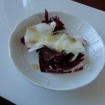 サーラ アマービレ - トレヴィスとチーズのサラダ　ラズベリーソース