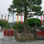 お料理 とみやま - 早朝の鶴岡八幡宮へ　2019.6