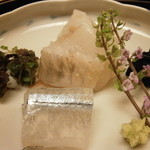 割烹 喜作 - お造り２点盛り　青森鮃、松輪細魚、岩茸