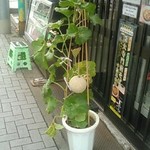 深大寺門前そば - 