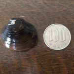 天塩港市場 銀恵水産 - 大きなサイズ