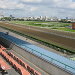 船橋競馬場 東西商会 - 本馬場です｡