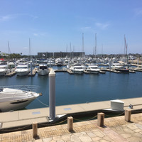 Mar Rosso - 