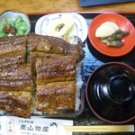 炭火焼うなぎ 東山物産 - うなぎ丼（上）