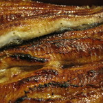 植きん - あっぷ