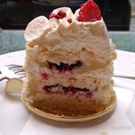 アルノー・ラエール - 断面