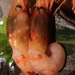 旬酔基じ - 特大ボタン海老♬