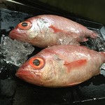 Uotorasenryou - のどぐろ美味しいお魚です。