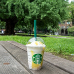 STARBUCKS COFFEE - 