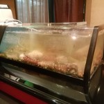 寿司・会席料理 みやこ - 