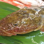 魚料理専門 魚魚一 - 浜名湖産の真こちです。