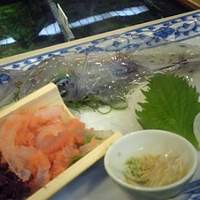 稚加榮 本店 - 剣先いかがなくて水いかでした…