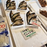 魚トシ - 