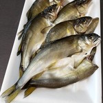 魚トシ - アユの干物　500円