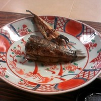 割烹 やました -  割烹 やました -