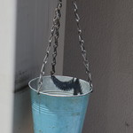 博多元気一杯!! - 