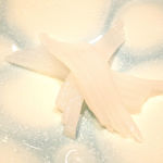 鮓菜 浅乃 - 烏賊