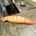 鮓菜 浅乃 - 海老