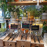 Mr.FARMER - Mr.FARMER