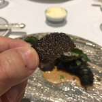 Grand rocher - トリュフですよー