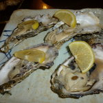 ぽんぽこたぬきのかくれ家 - 