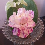 中国レストラン 雪園 - 