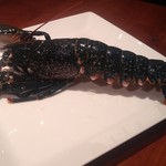 L‘Equation - 調理前のオマールブルー