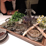 AKI NAGAO - 食後のティー