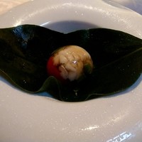 ヒカリヤ ニシ - 