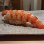 鮨 つぼみ - 車海老