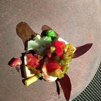 インカメラ コン テラッツァ - 