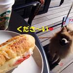 STARBUCKS COFFEE Karuizawa Purinsushoppingupurazaten - サンドにロックオンっ!!!