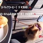 STARBUCKS COFFEE Karuizawa Purinsushoppingupurazaten - ガムはテラスで♨