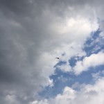 みそだれやきとり かんちゃん - 