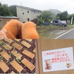 Kukka with Flower&Cafe - 秋保の神ヶ根温泉近くミャ。アプローチにくるみ殻、看板猫さんいるミャ