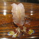 すし義 - 生えび