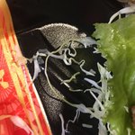 マルエツ 江戸川橋店