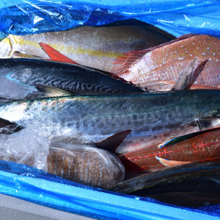 津本式の熟成魚や、全国各地から仕入れた鮮魚の鉄板焼が楽しめる