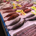 魚太郎 浜焼きバーベキュー 本店 - 