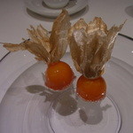 フロリレージュ - プティフール／ほおずきチェリー