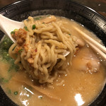 札幌 Fuji屋 - もちもちラーメン