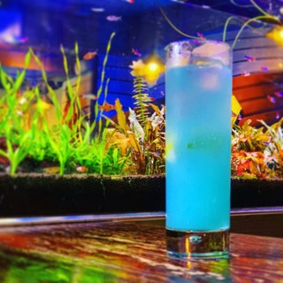 BLUE FISH AQUARIUM_0