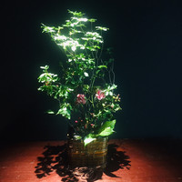 心斎橋 禅園 - 内観1