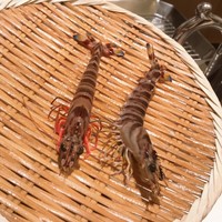 天ぷら 銀座おのでら 並木通り店 - 