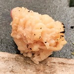 寿し ひでたか - 苫小牧の北寄貝