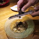 ドディチ・マッジョ - 