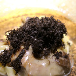 ドディチ・マッジョ - 