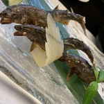おおさか料理  浅井 - 