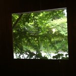 ごはんや - 窓からみどり。。