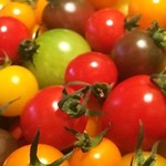 森のキッチン - 